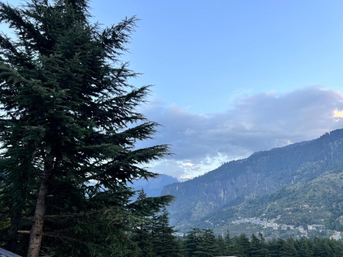 North Deodar Avenue, Manali Екстер'єр фото